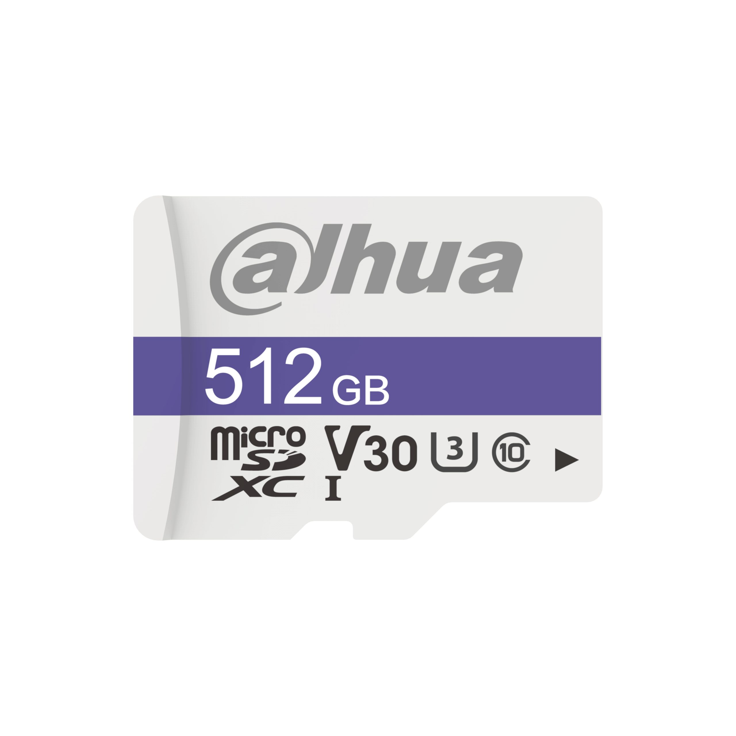 Dahua Technology TF-C100/512GB MicroSDXC UHS-I Clase 10