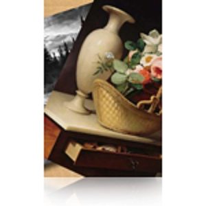 Epson Premium Luster Photo Paper Brillo extra