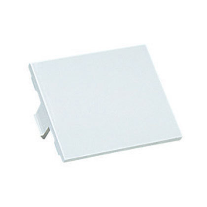 Panduit CHB2IW-X placa de pared o cubierta de interruptor Blanco