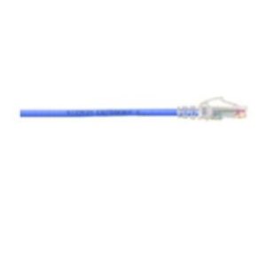 Siemon Cat6, UTP, 5 m cable de red Azul U/UTP (UTP)
