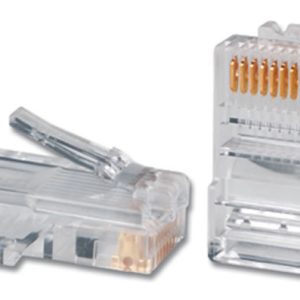 Siemon P-8-8 conector 1 Transparente