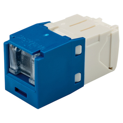 Panduit CJH688TGBU conector RJ-45 Azul