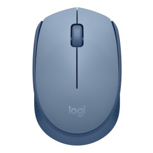 Logitech M170