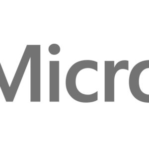 Microsoft Windows Server Standard 2022