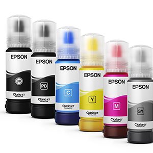Epson C13T555520-AL cartucho de tinta 1 pieza(s) Original Gris claro