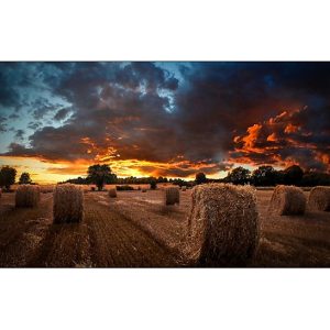 Samsung LH46VMBUBGBXGO pantalla de pared para proyección LCD Interior